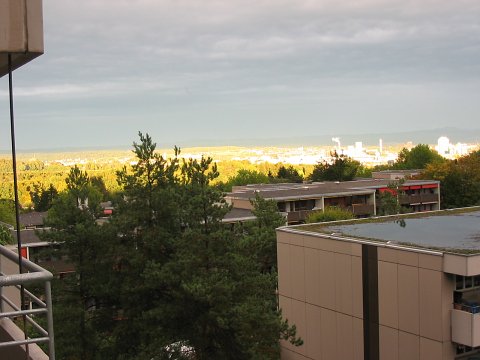 Zuerich im Abendlicht